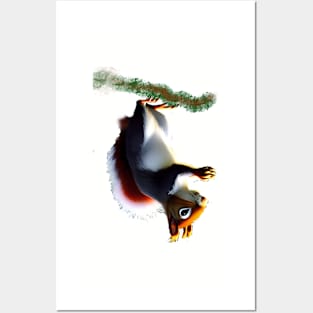 UPSIDE DOWN SQUIRREL Posters and Art